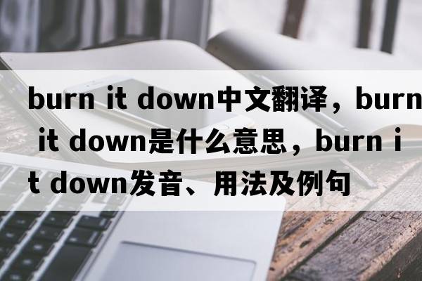 burn it down中文翻译，burn it down是什么意思，burn it down发音、用法及例句