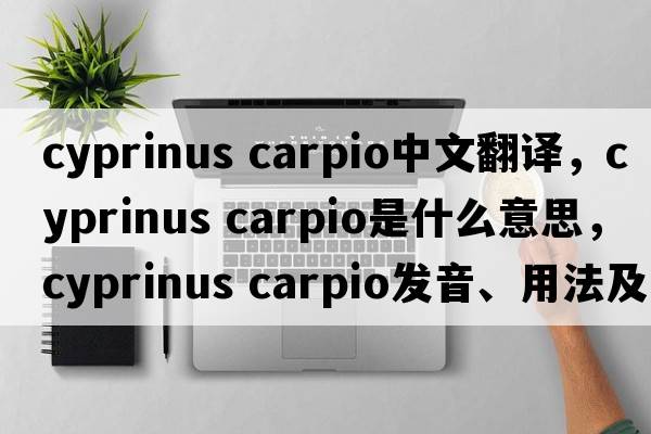 cyprinus carpio中文翻译，cyprinus carpio是什么意思，cyprinus carpio发音、用法及例句