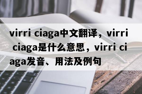 virri ciaga中文翻译，virri ciaga是什么意思，virri ciaga发音、用法及例句