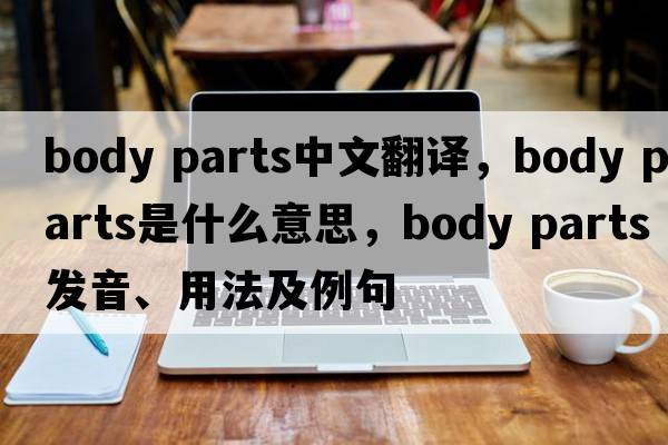 body parts中文翻译，body parts是什么意思，body parts发音、用法及例句
