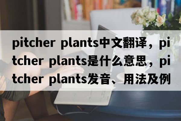 pitcher plants中文翻译，pitcher plants是什么意思，pitcher plants发音、用法及例句