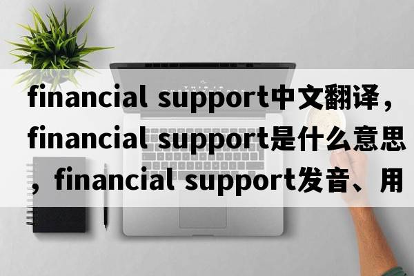 financial support中文翻译，financial support是什么意思，financial support发音、用法及例句