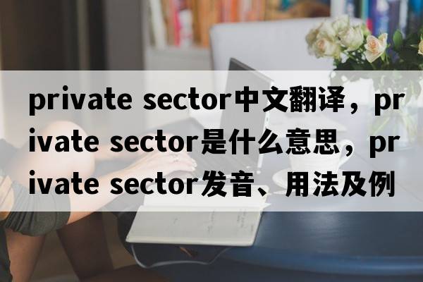 private sector中文翻译，private sector是什么意思，private sector发音、用法及例句
