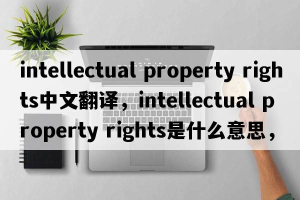intellectual property rights中文翻译，intellectual property rights是什么意思，intellectual property rights发音、用法及例句