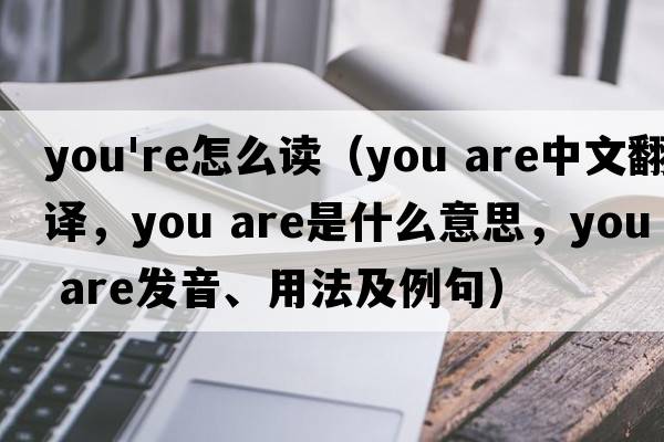 you're怎么读（you are中文翻译，you are是什么意思，you are发音、用法及例句）