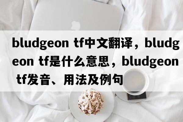 bludgeon tf中文翻译，bludgeon tf是什么意思，bludgeon tf发音、用法及例句