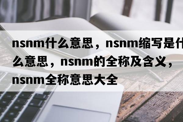 nsnm什么意思，nsnm缩写是什么意思，nsnm的全称及含义，nsnm全称意思大全