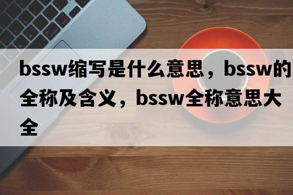 bssw缩写是什么意思，bssw的全称及含义，bssw全称意思大全