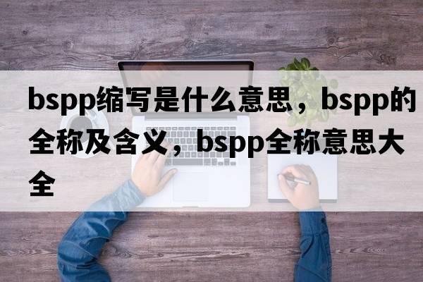 bspp缩写是什么意思，bspp的全称及含义，bspp全称意思大全