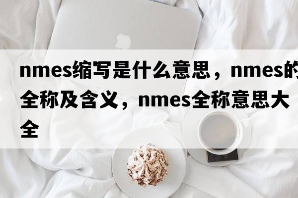 nmes缩写是什么意思，nmes的全称及含义，nmes全称意思大全
