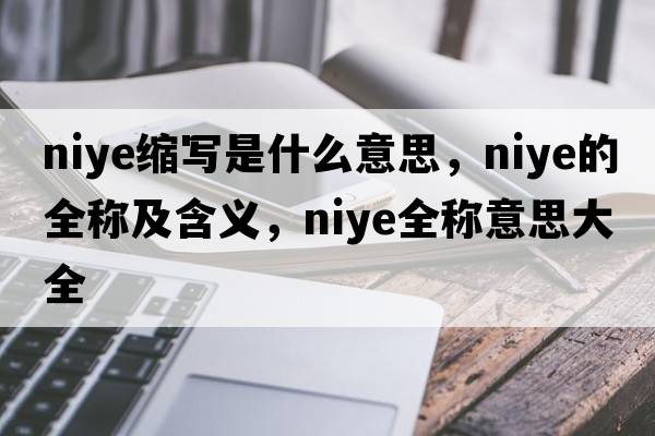 niye缩写是什么意思，niye的全称及含义，niye全称意思大全