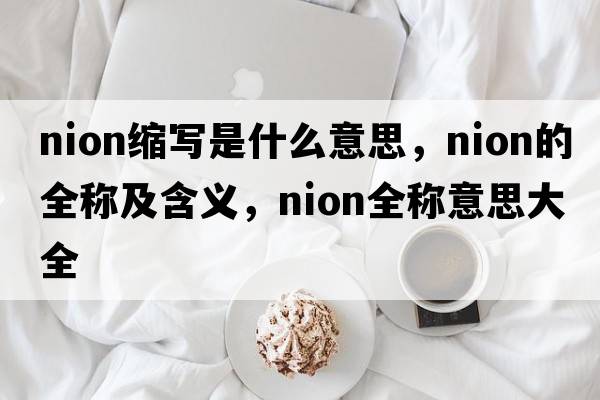 nion缩写是什么意思，nion的全称及含义，nion全称意思大全