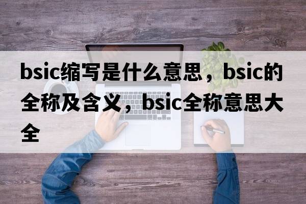 bsic缩写是什么意思，bsic的全称及含义，bsic全称意思大全