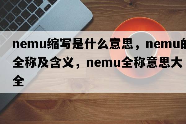 nemu缩写是什么意思，nemu的全称及含义，nemu全称意思大全