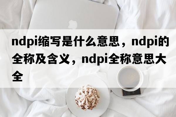 ndpi缩写是什么意思，ndpi的全称及含义，ndpi全称意思大全
