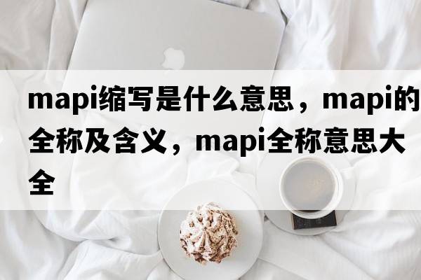 mapi缩写是什么意思，mapi的全称及含义，mapi全称意思大全