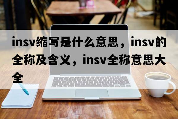 insv缩写是什么意思，insv的全称及含义，insv全称意思大全