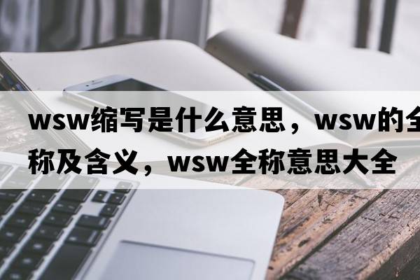wsw缩写是什么意思，wsw的全称及含义，wsw全称意思大全