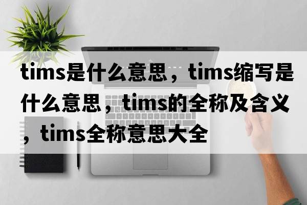 tims是什么意思，tims缩写是什么意思，tims的全称及含义，tims全称意思大全