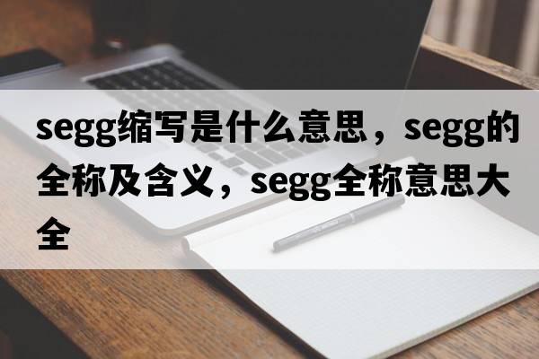 segg缩写是什么意思，segg的全称及含义，segg全称意思大全