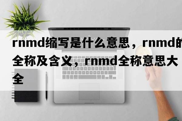 rnmd缩写是什么意思，rnmd的全称及含义，rnmd全称意思大全
